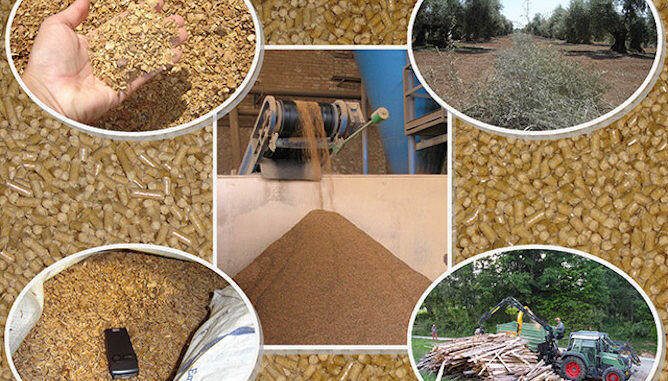 nuevos_biocombustibles-biomasud_plus_avebiom